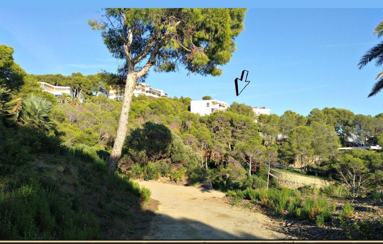 Aguila Dorada Apartment Salou Luaran gambar